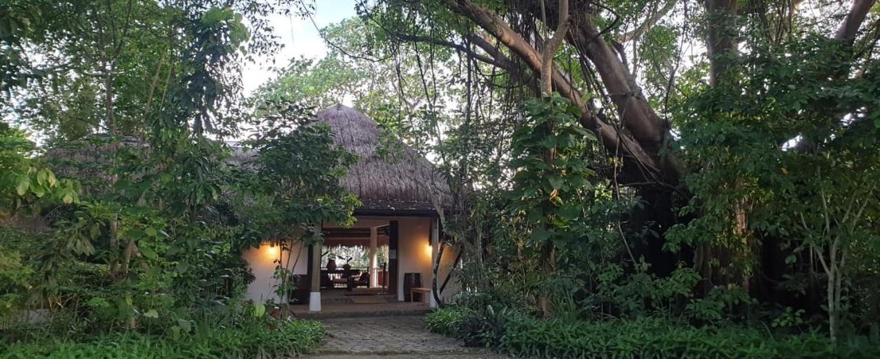 Amun Ini Beach Resort & Spa Anda  Exterior photo